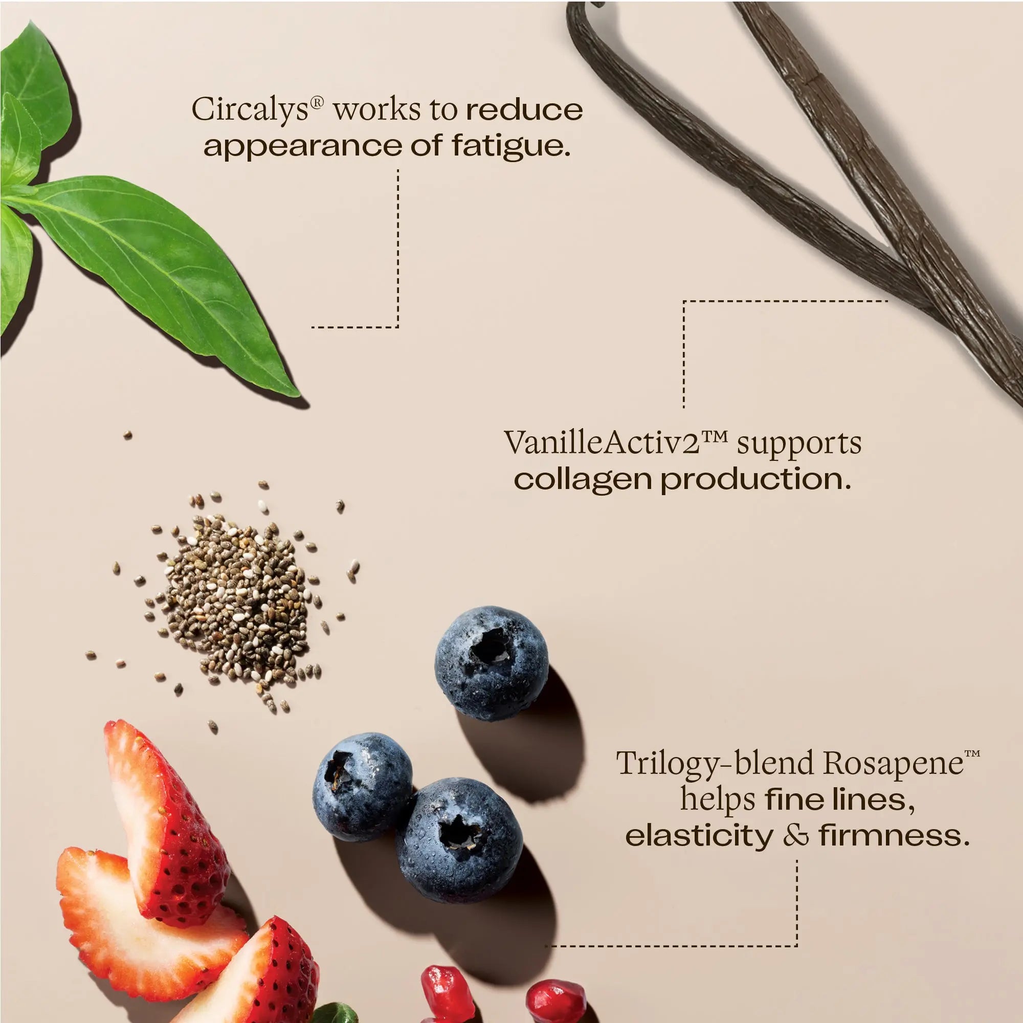 Rosapene™ Night Cream, 60mL Trilogy