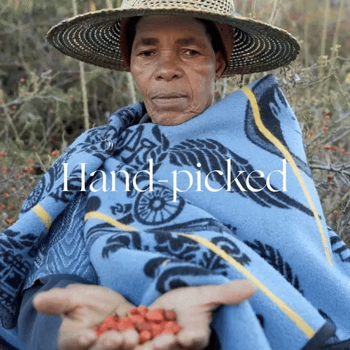 Certified Organic Rosehip Oil, 10mL