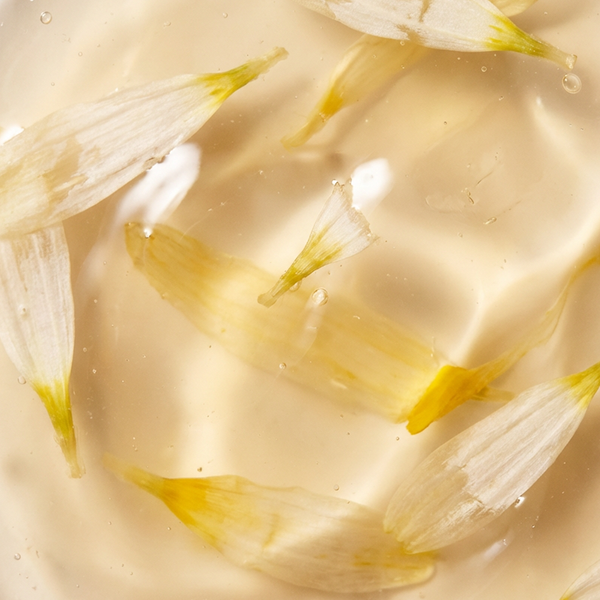 Daisy Flower Extract